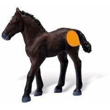 Tiptoi Lipizzaner Fohlen von Ravensburger