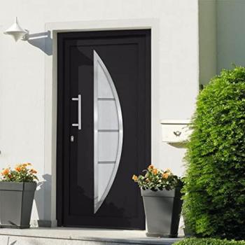 Front Door Anthracite 88x200 cm