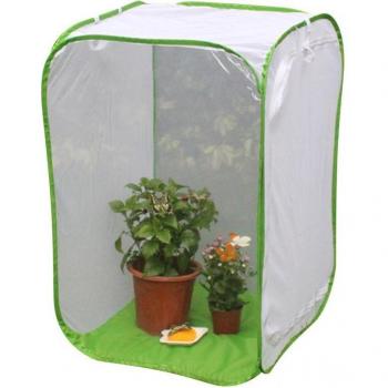 Caja de cría para mariposas