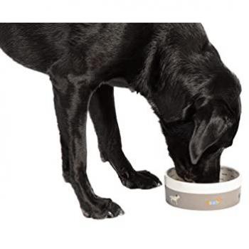 Danish Design Fatface Marching Dogs XL Pet Bowl – 2‑Litre Capacity