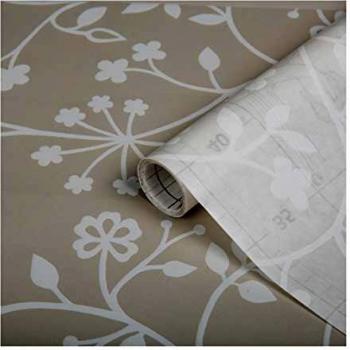 D-C-Fix Vinyle Transparent pour Fenêtre – 150 × 90 cm