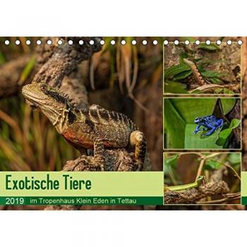Exotische Tiere im Tropenhaus Klein Eden in Tettau