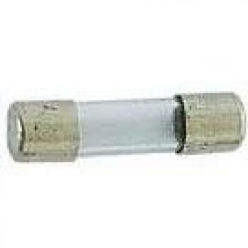 Fusible rápido 5 x 20 mm 0.25A (paquete de 10)