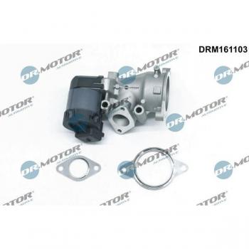 DR.MOTOR AUTOMOTIVE Válvula EGR DRM161103