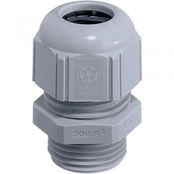 Lapp Presse-étoupe Skintop® M20 en polyamide RAL 7001