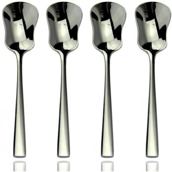 AOOSY 18/10 Ice Cream Spoons Set