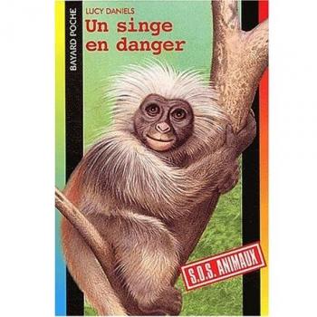 Un singe en danger