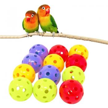 Juguete Forrajeo Express para Loros