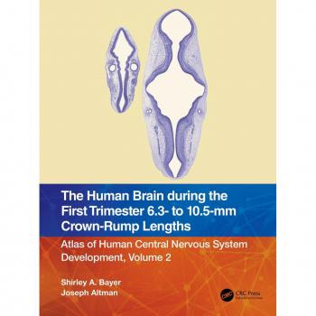 Vitalsource Technologies, Inc. The Human Brain During The First Trimester 6.3