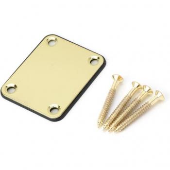 Placa de mástil Telecaster con tornillos