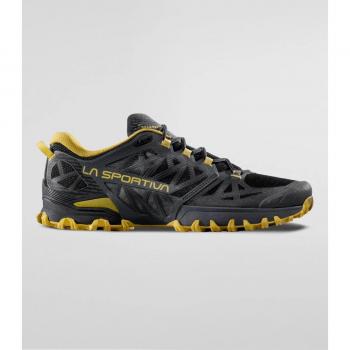 Trail Blaze Bushido III