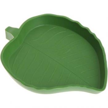 Bol repas ver gécko durable