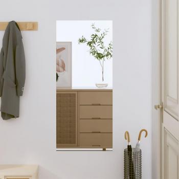 VidaXL 40x80 cm Glass Rectangular Wall Mirror
