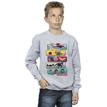 Boys’ DC League of Super-Pets Sweatshirt, Grey, 3-4 Years