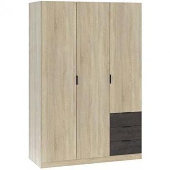 PEGANE Armoire 3 portes chêne canadien