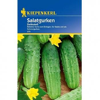Grüne Delikateß Salatgurken Samen