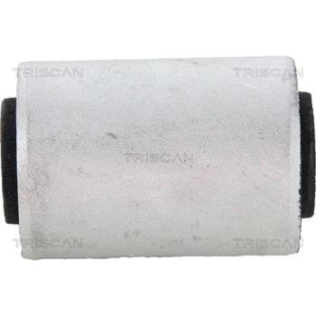 Triscan A/S Silent bloc de suspension pour MERCEDES‑BENZ : Classe ML, Classe R, Classe GL (Ref : 8500 23869)