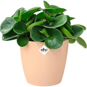 Pot de Fleurs Bruxelles Beige 16x15cm 2,2L