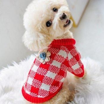 Pullover chaud mini chien