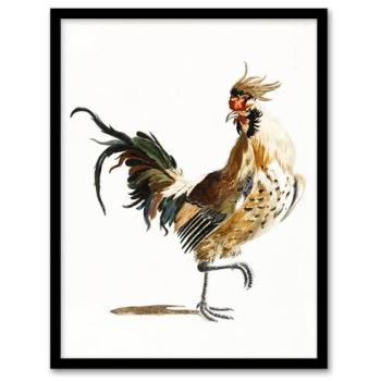Johan Teyler: Feathered Rooster – 12x16 Framed Watercolor