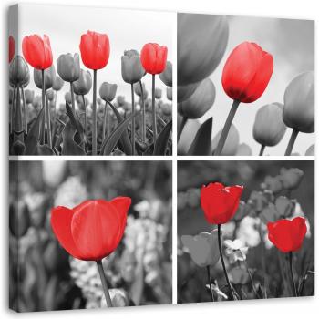 Immagine Canvas Feeby con Lale