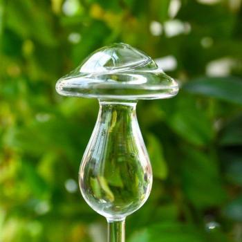 Distributeur d'eau pour plantes en verre