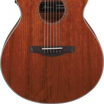 Ibanez AEG220 Acoustic Electric Guitar