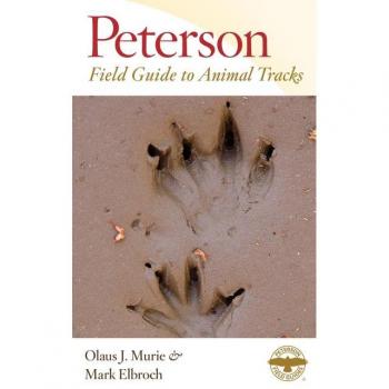 Peterson Animal Tracks Field Guide: Third Edition by Margaret Elizabeth Murie