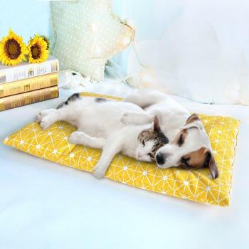 Puppy Sofa Bed Cushion