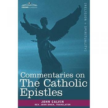 Commentaries on the catholic epistles paperback