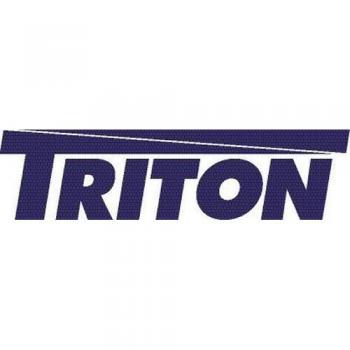 Triton RAX-MS-X10-X1 Ersatzschlüssel für 48,26 cm (19 Zoll) Netzwerkschrank Delta S/RMA schwarz