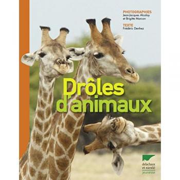 Drôles D'animaux