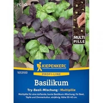 Basilikum 'Try-Basil-Mix'