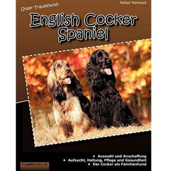 Unser Traumhund: English Cocker Spaniel