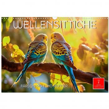 Wellensittiche farbenfroh und munter (Wandkalender 2025 DIN A3 quer) CALVENDO Monatskalender