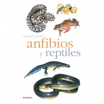 ANFIBIOS Y REPTILES