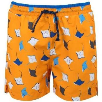 Bainage Regatta Skander III Stingray