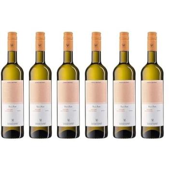Bacchus Trocken 2024 – Freyburg‑Unstrut Winzervereinigung