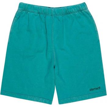 Pantalón corto Element Cornell 3.0 turquesa para hombre XL