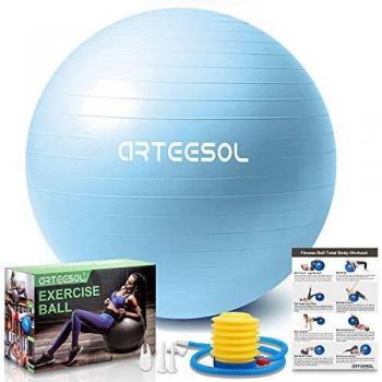 Arteesol Physical Therapy Gym Ball 45cm