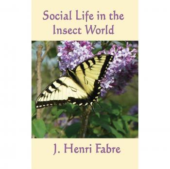 Social Life in the Insect World