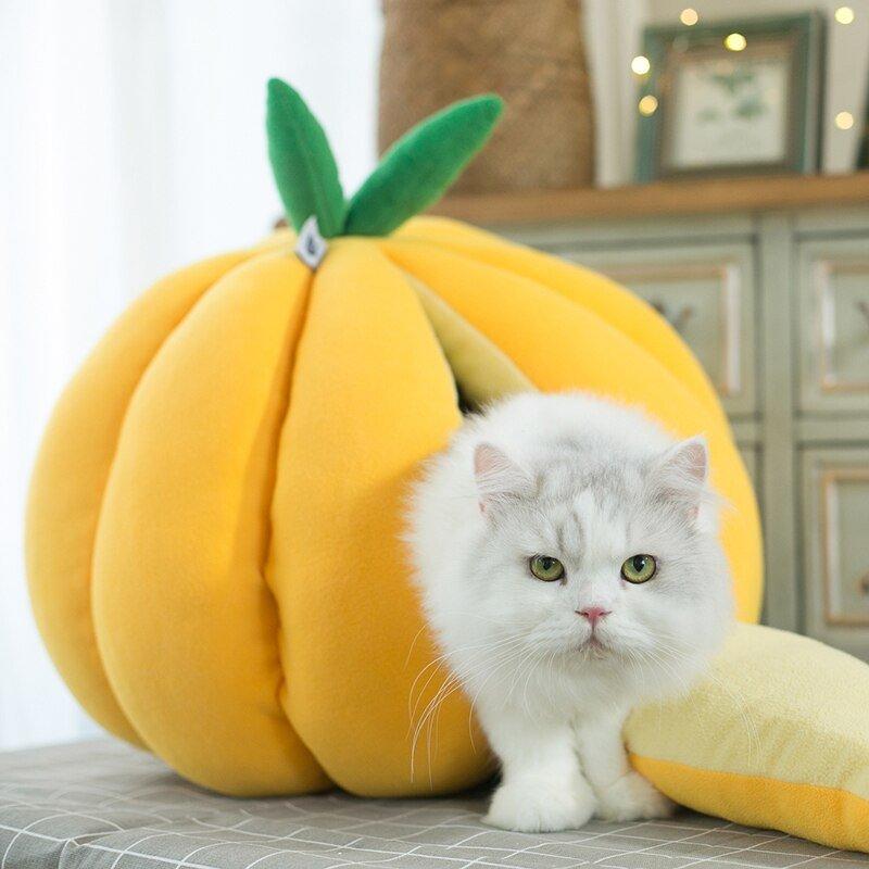 #