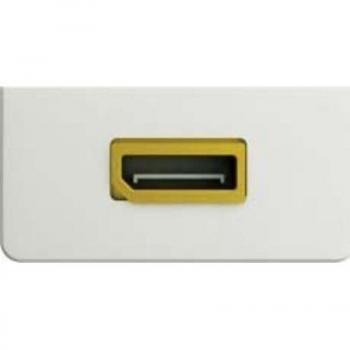 Kindermann 7456000588 Anschlussblende DisplayPort