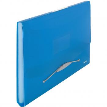 Rexel Transparent Project Filing Folder for A4, 6 Compartments, 300 Sheets