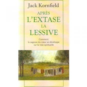 Après l'extase, la lessive. Comment la sagesse du coeur se développe sur la voie spirituelle (Chemin de Sages)