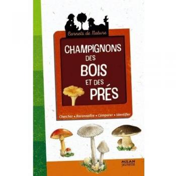 Champignons des bois et des prés