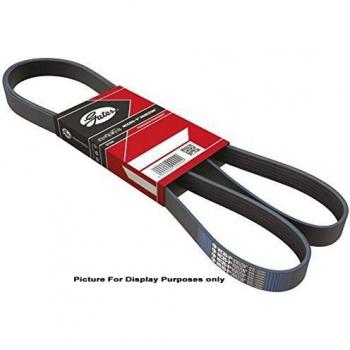 Gates 6PK2168 Cinghia V-ribbed