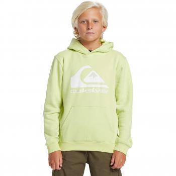 Quiksilver Big Logo Hoodie for 10-Year-Olds