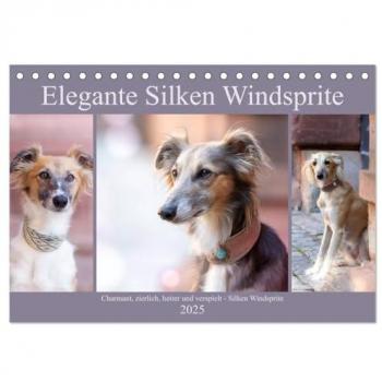 Elegante Silken Windsprite (Tischkalender 2025 DIN A5 quer) CALVENDO Monatskalender
