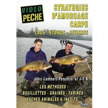 Stratégies D'amorçage Carpe : Lac